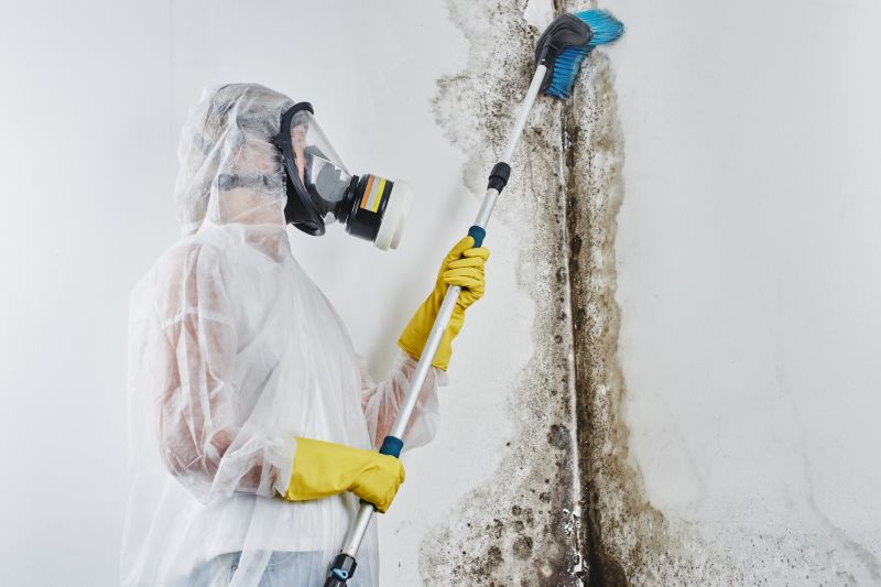 Mildew and Mold Removal
