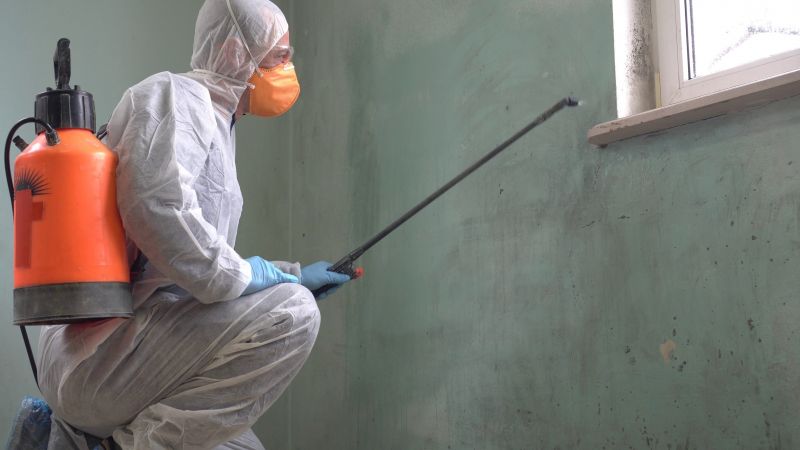 Mildew and Mold Removal