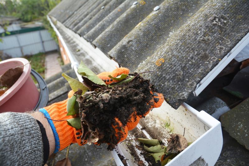 Gutter Cleaning in Frederick, MD