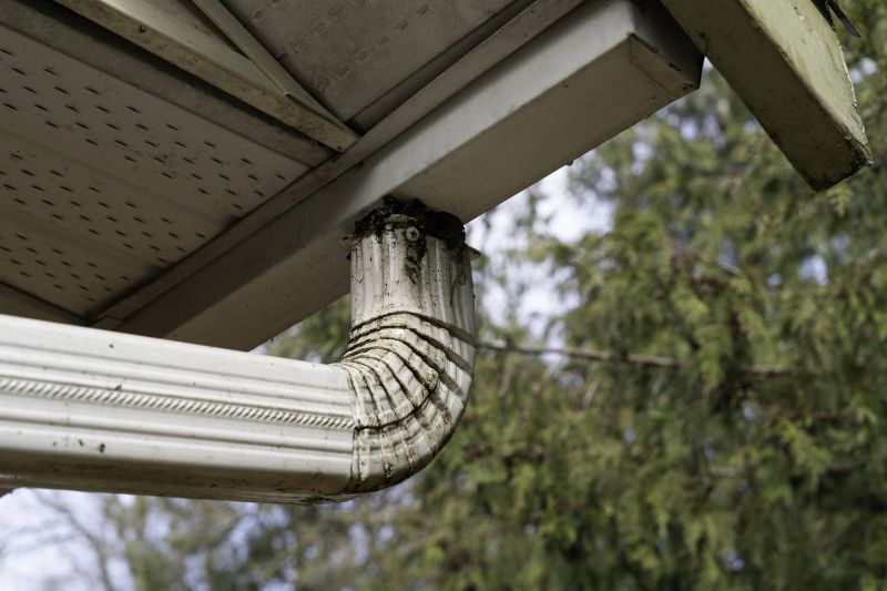 Gutter Downspout Unclogging in Longmont, CO