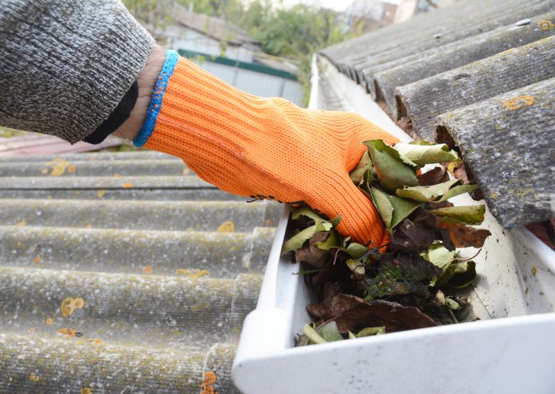 Gutter Leaf Clearing in Boulder, CO